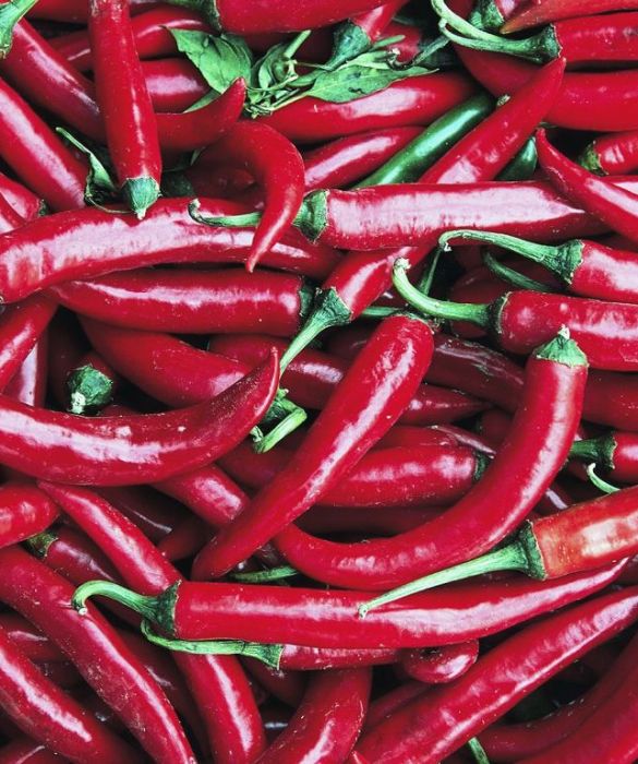 Quando si assume un cibo piccante la capsaicina, il composto chimico che rende piccante il peperoncino causando la sensazione di bruciore, viene in contatto con la lingua l'organismo subisce una sorta di inganno: pensa che si tratti di una sensazione di dolore e quindi rilascia le endorfine per combatterlo.