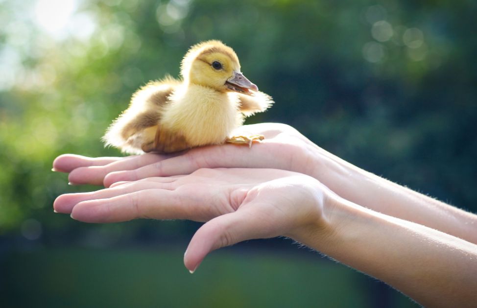 Ogni coppia ha una storia diversa da raccontare e per quanto sia bella e particolare, c’è sempre un fase segnata da difficoltà, dubbi e preoccupazioni