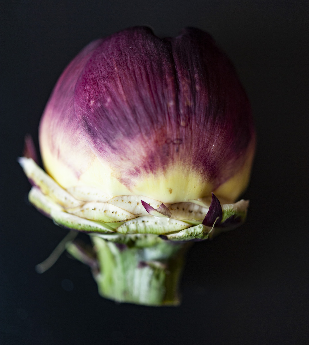 Carciofi giudia step 1