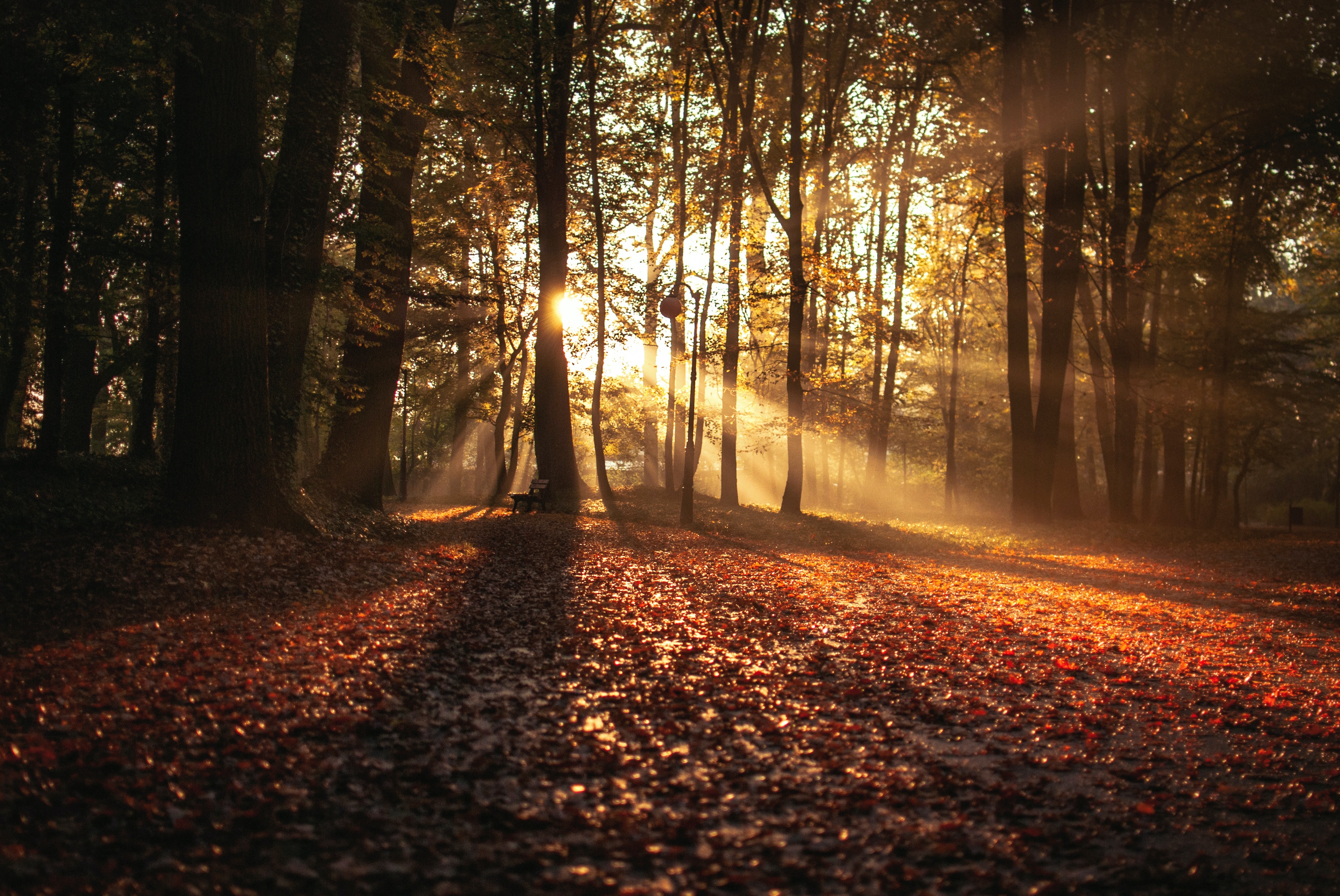 Vivere a contatto con la natura