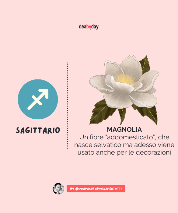 <p>È un fiore "addomesticato", che nasce selvatico ma adesso viene usato anche per le decorazioni.</p>
