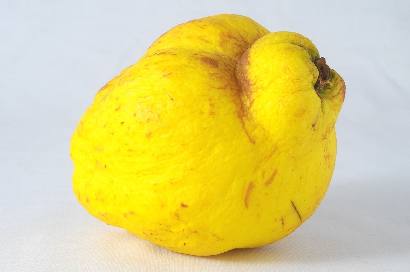 cedro