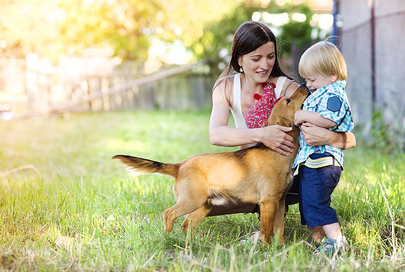 mamma e bambino giocano con il cane