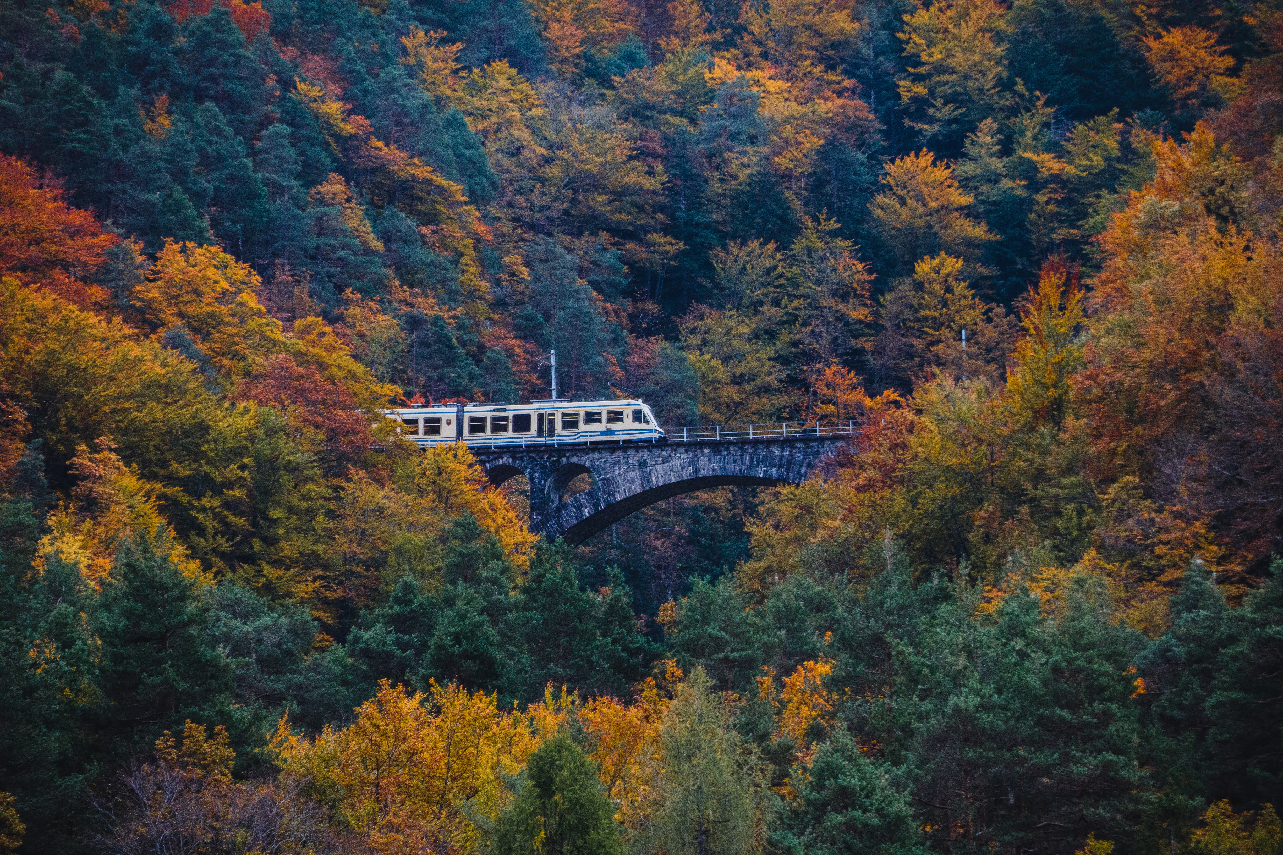 Il Treno del Foliage