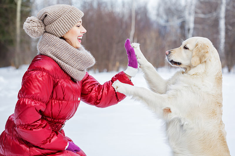 cane-passeggiata-nella-neve