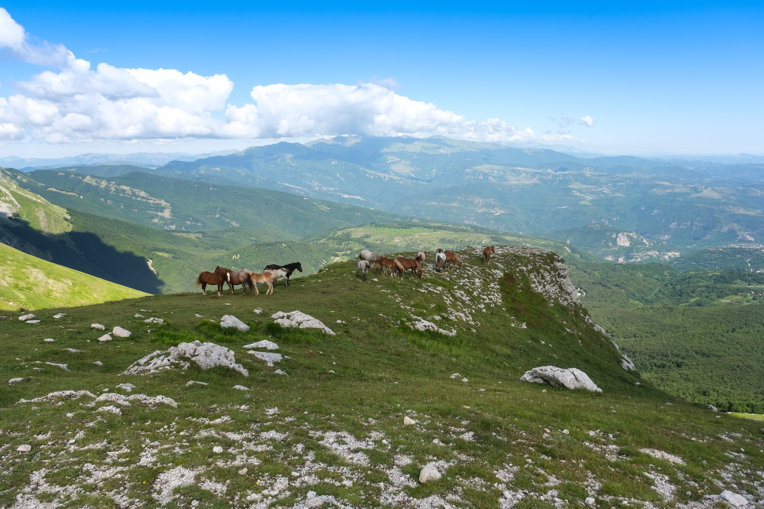 prati tivo gran sasso