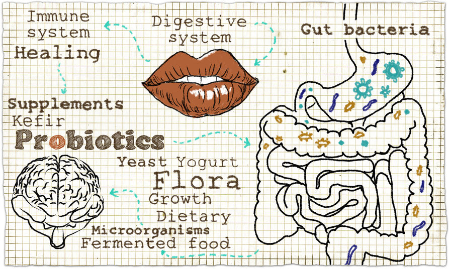 probiotici e intestino